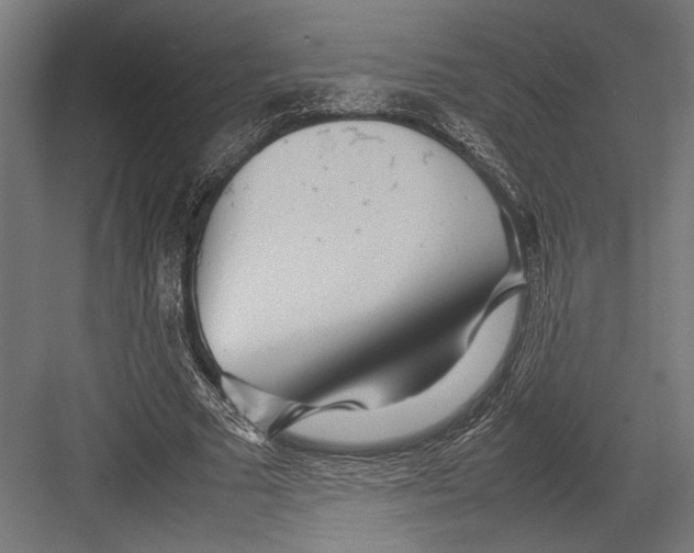 X0000082700681200702161750