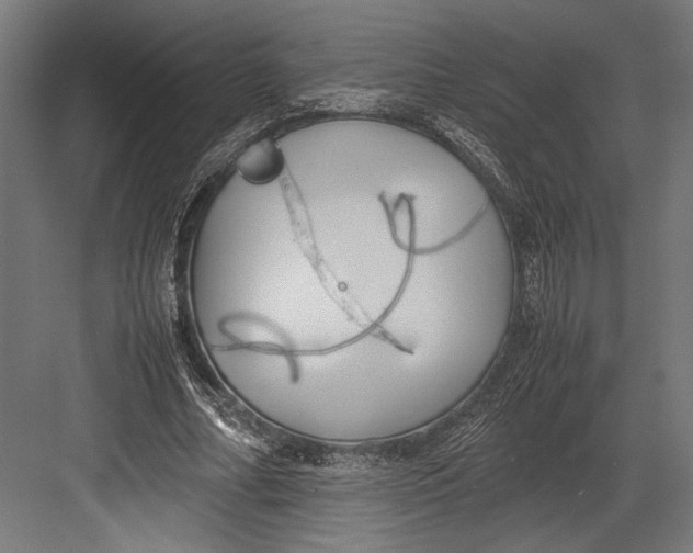 X0000082700682200702161750