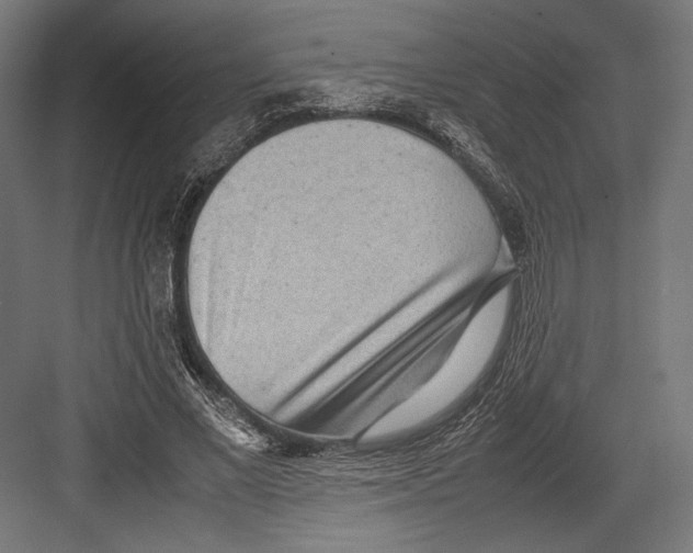 X0000082700685200702161750