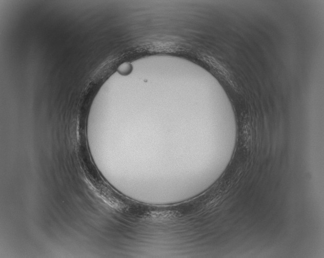 X0000082700686200702161750