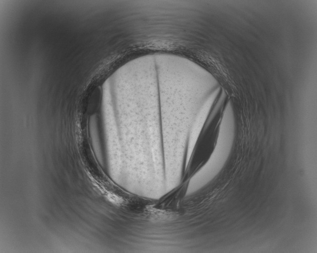 X0000082700688200702161750