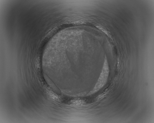 X0000082700689200702161750