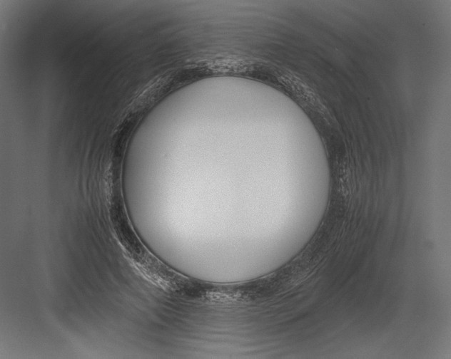 X0000082700690200702161750