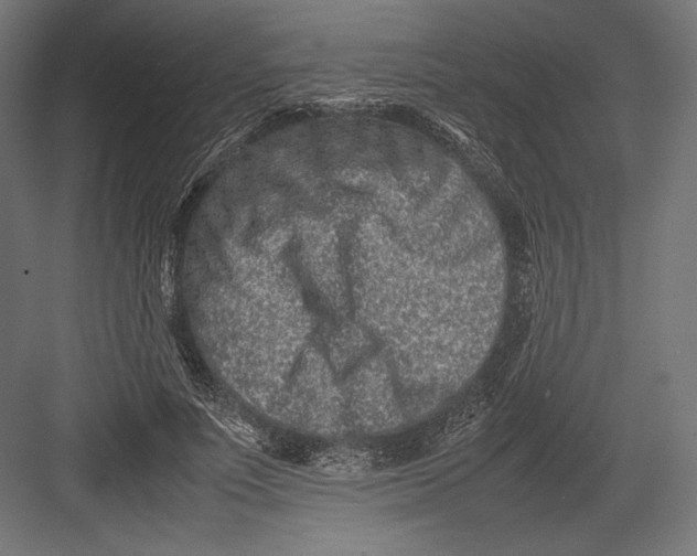 X0000082700691200702161750