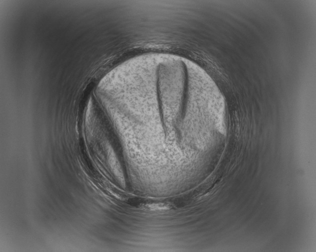 X0000082700692200702161750