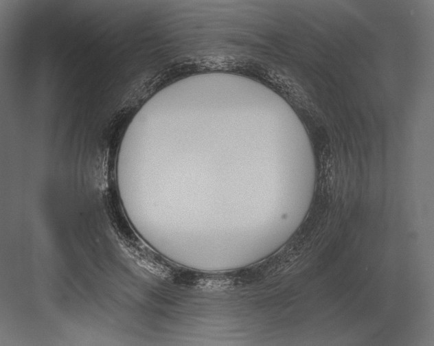 X0000082700694200702161750