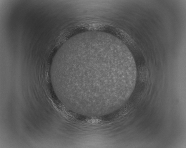 X0000082700695200702161750