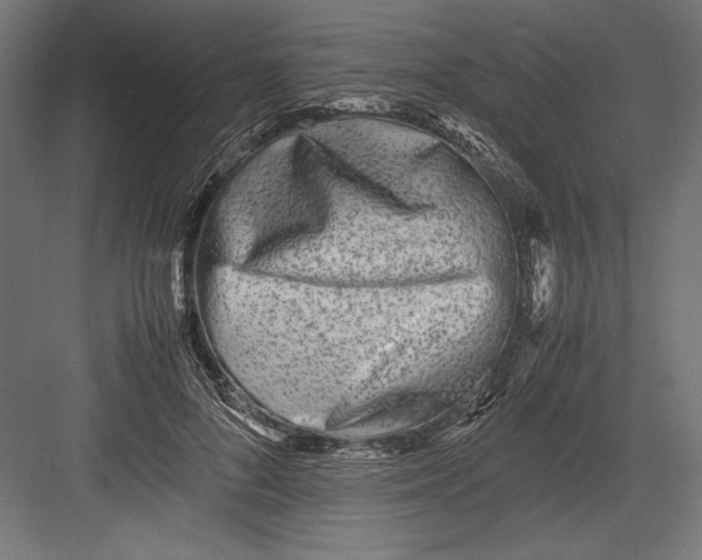 X0000082700696200702161750