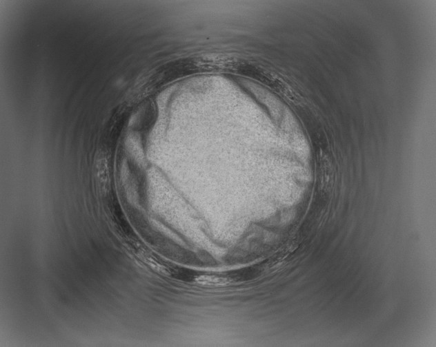 X0000082700699200702161750