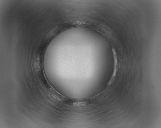 X0000082700700200702161750