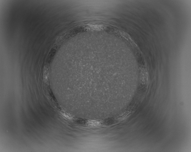 X0000082700701200702161750