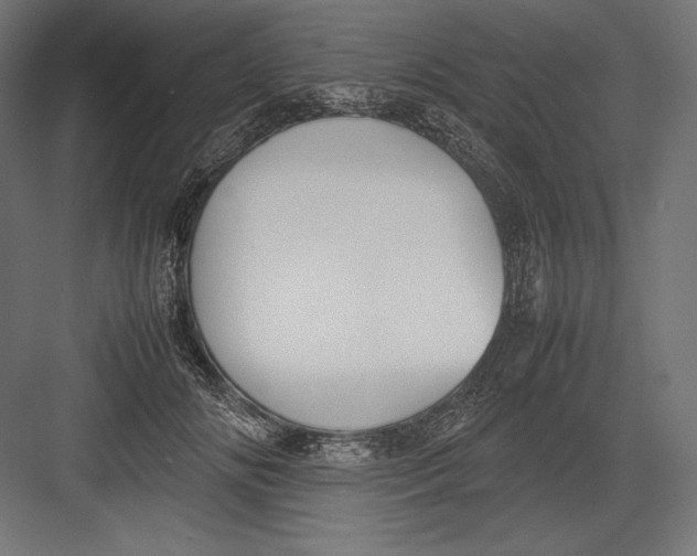 X0000082700702200702161750