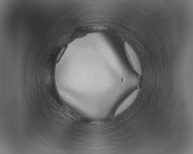 X0000082700704200702161750