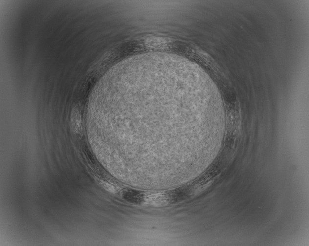 X0000082700705200702161750