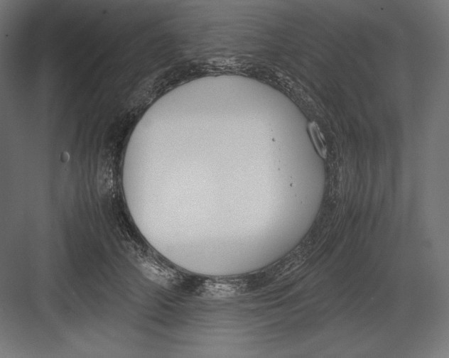 X0000082700706200702161750