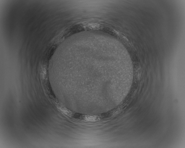 X0000082700709200702161750