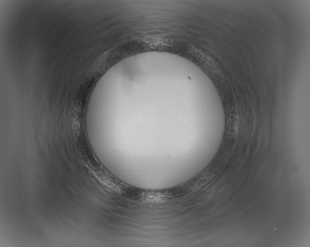 X0000082700710200702161750