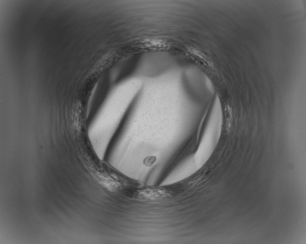 X0000082700712200702161750