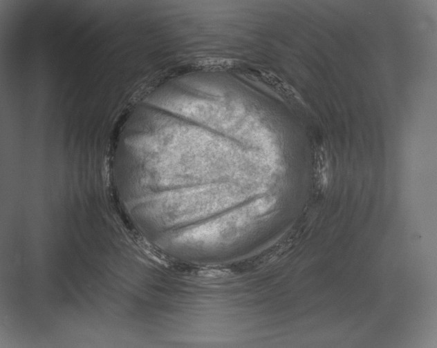 X0000082700716200702161750