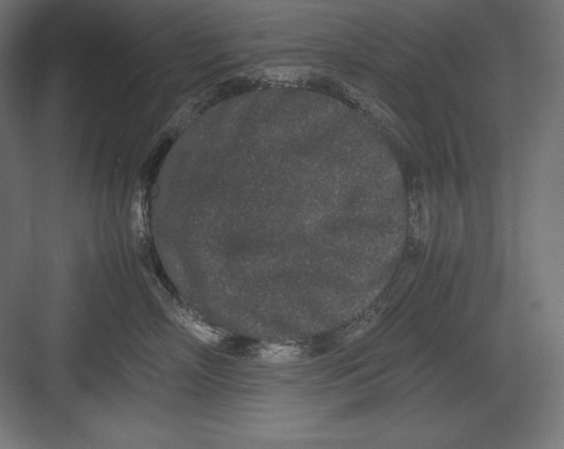 X0000082700718200702161750