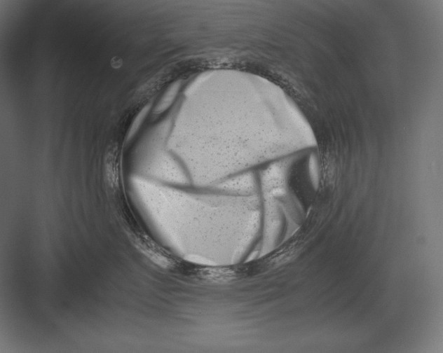 X0000082700719200702161750