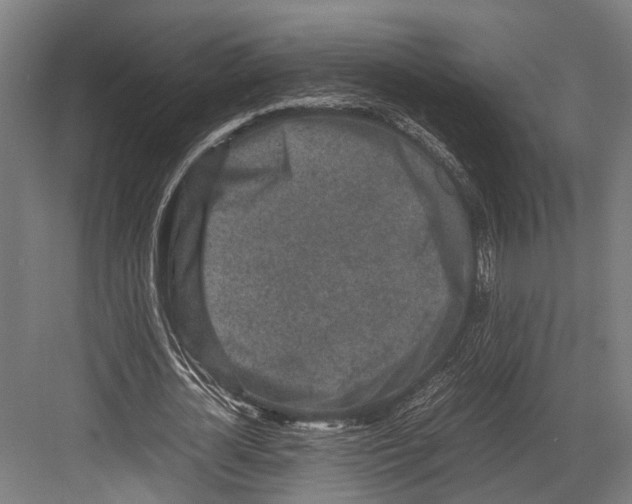 X0000082700724200702161749