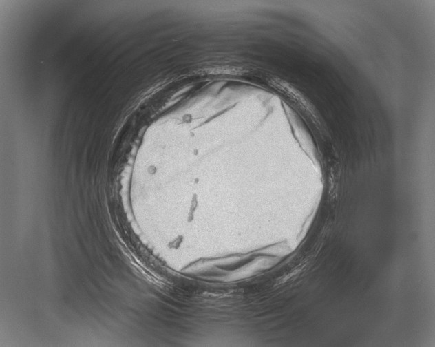 X0000082700725200702161749