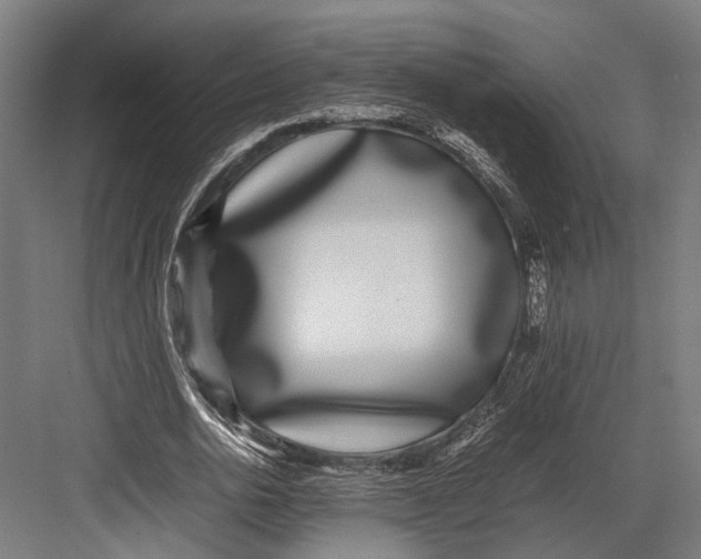 X0000082700726200702161749