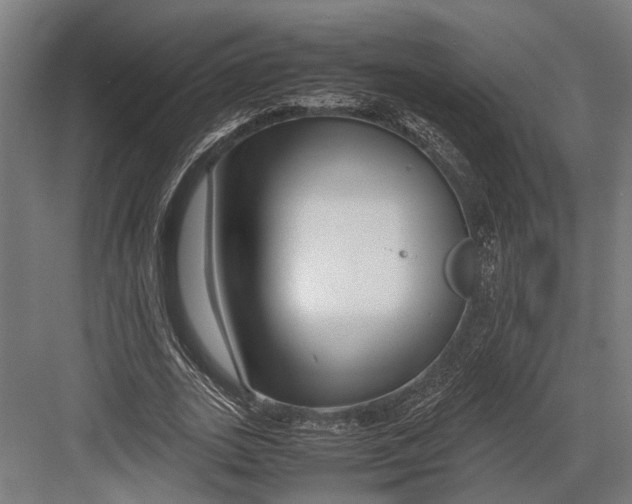 X0000082700727200702161749