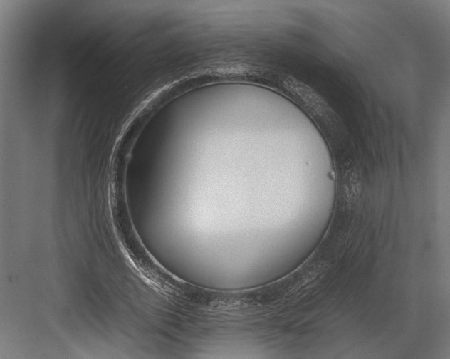 X0000082700728200702161749