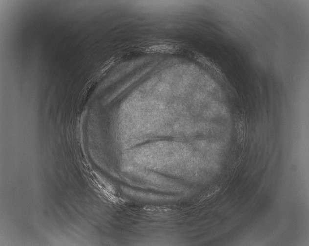 X0000082700729200702161749