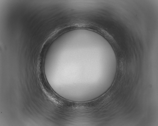 X0000082700730200702161749