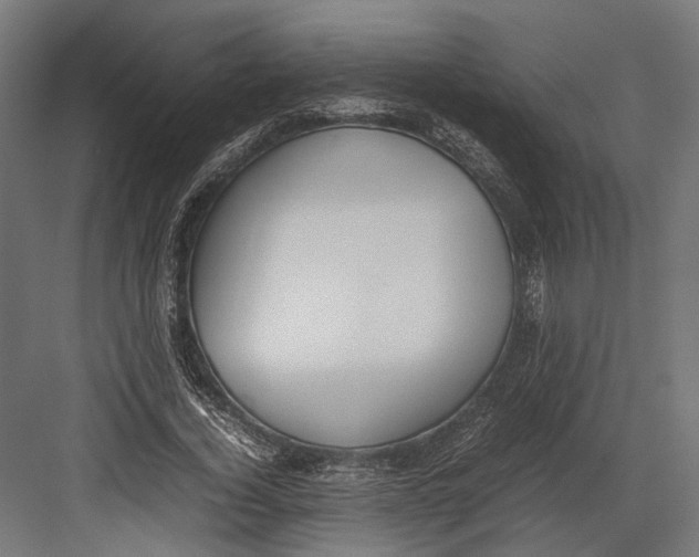 X0000082700732200702161749