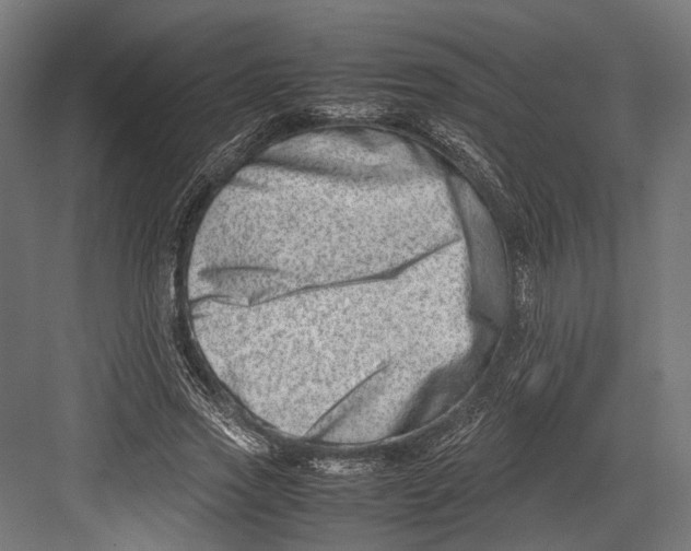 X0000082700733200702161749