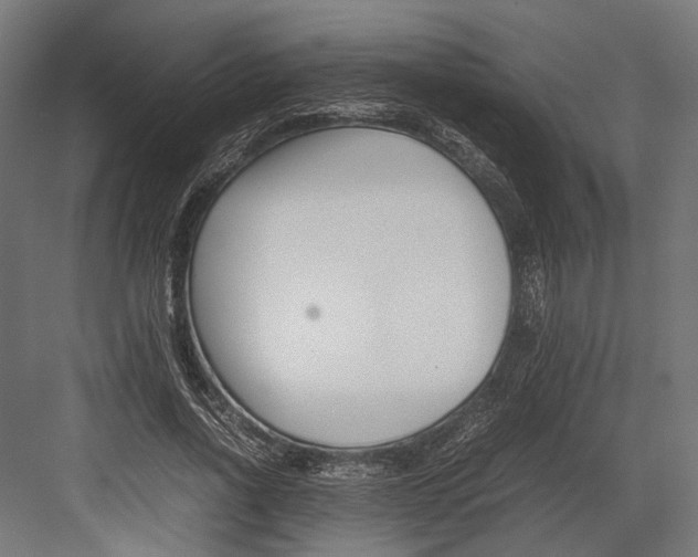 X0000082700734200702161749