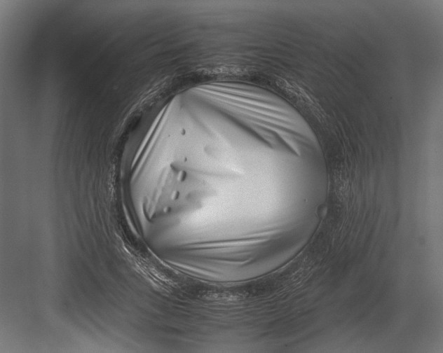 X0000082700735200702161749