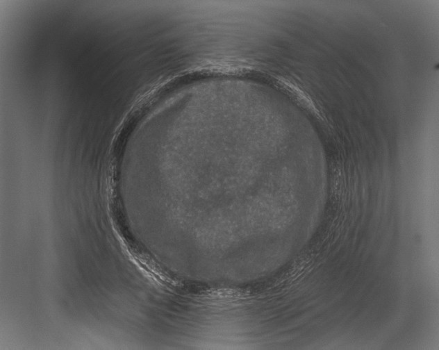 X0000082700736200702161749