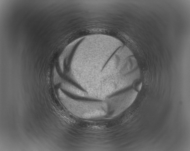 X0000082700737200702161749