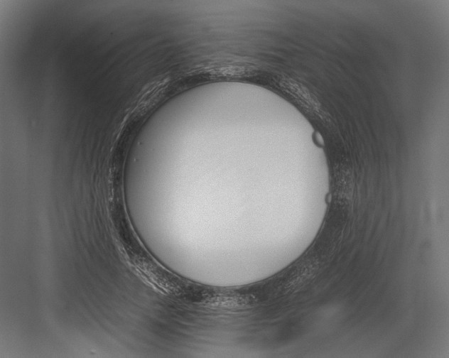 X0000082700738200702161749