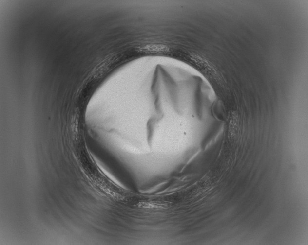 X0000082700739200702161749