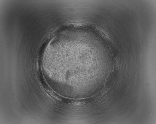 X0000082700740200702161749