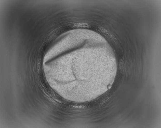 X0000082700741200702161749