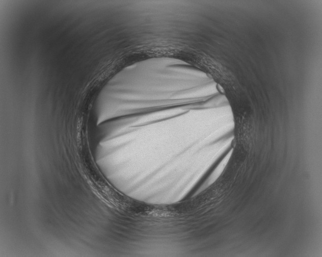 X0000082700742200702161749