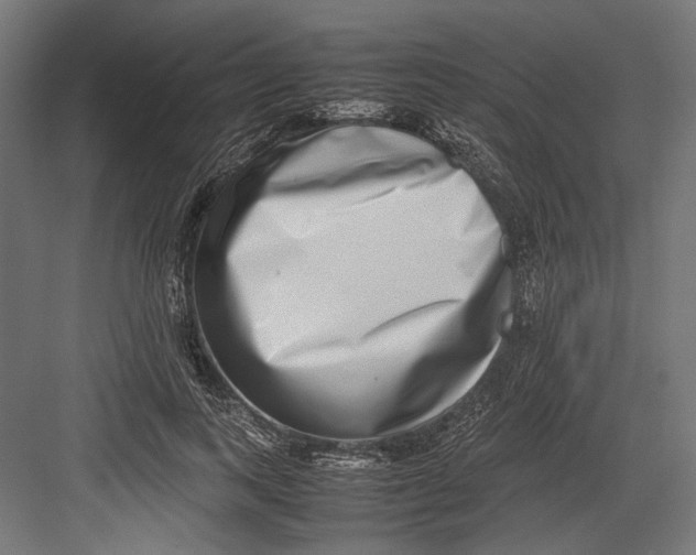 X0000082700743200702161749