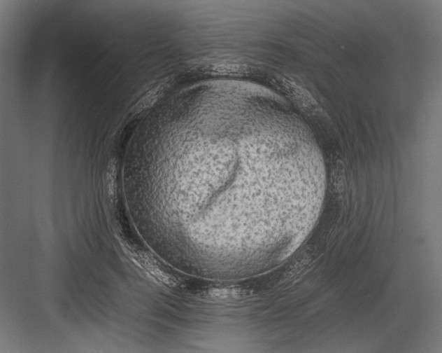 X0000082700744200702161749