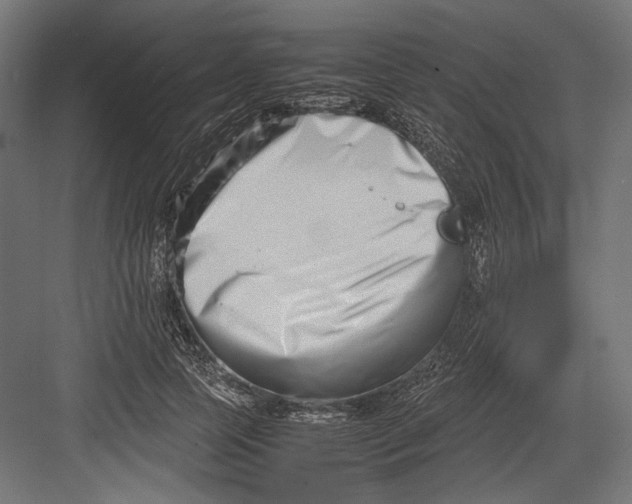 X0000082700745200702161749