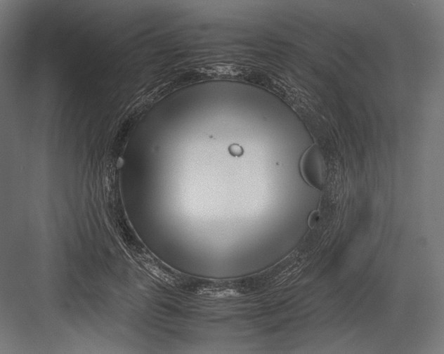 X0000082700747200702161749