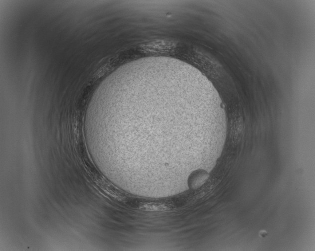 X0000082700749200702161749