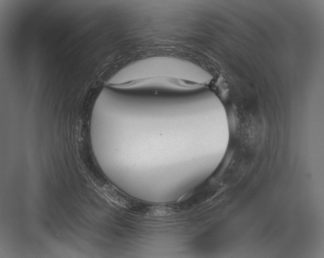 X0000082700750200702161749