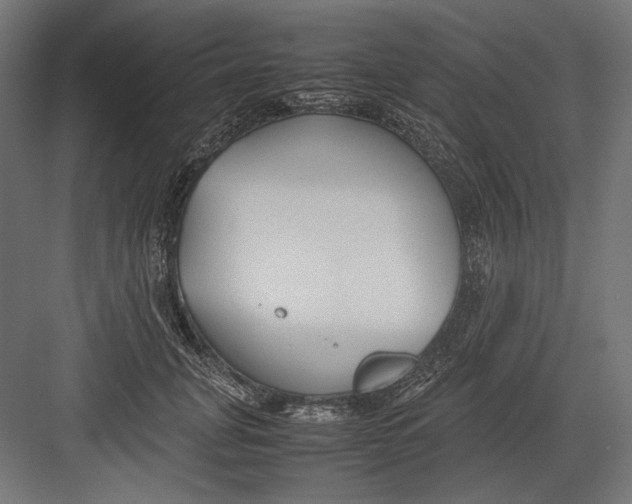 X0000082700751200702161749